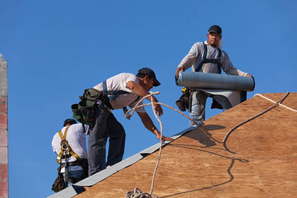 Best Metal Roofing Contractor  in Bagley, MN