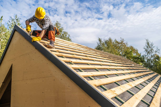 Best Roof Gutter Cleaning  in Bagley, MN